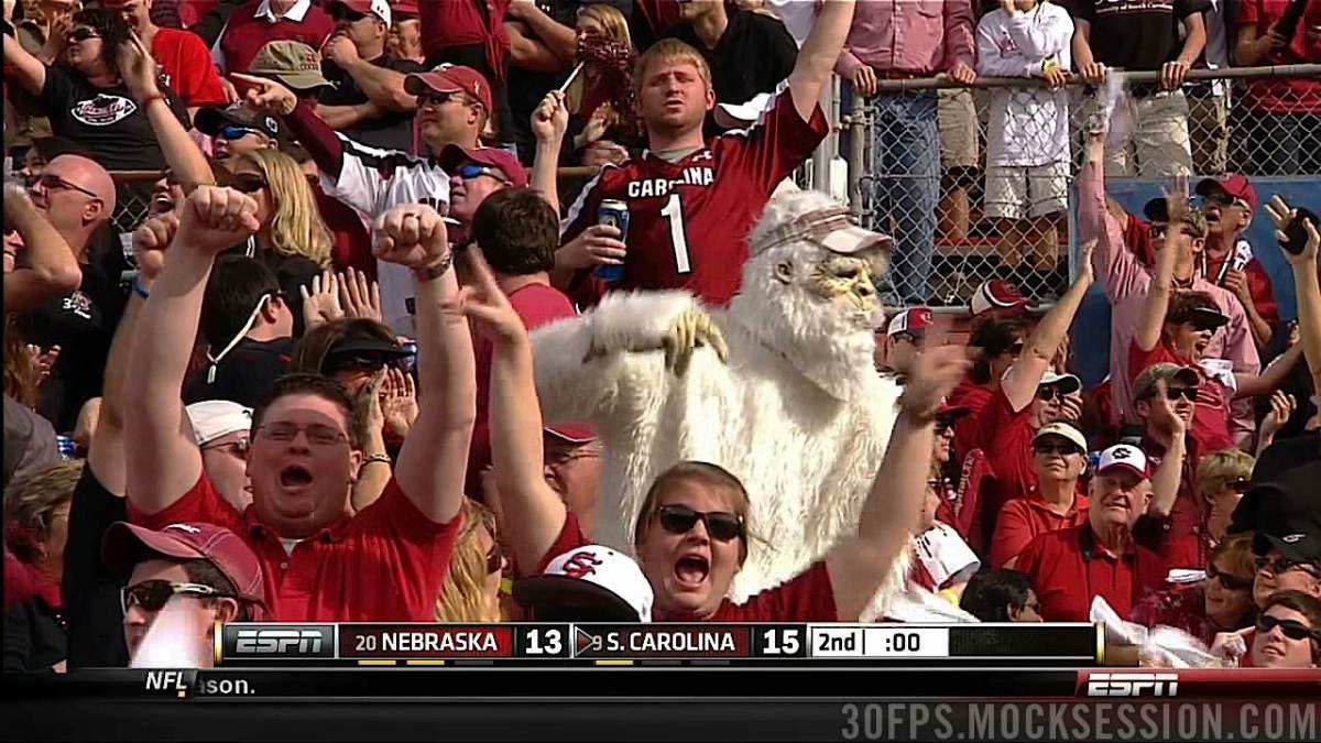 18-gamecocks.jpg
